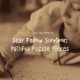 Blog: Dear Fellow Survivor - Painful Puzzle Pieces